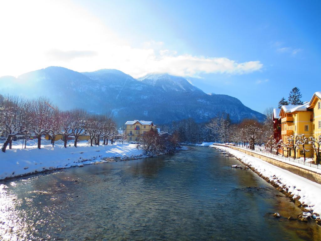 Ferienhaus Flores, Oder Doppelzimmer, Im Gruenen, 5 Gehminuten Ins Zentrum, Parkplatz, Zero Emissions Bad Ischl